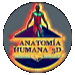 Anatoma Humana 3D  UACH
